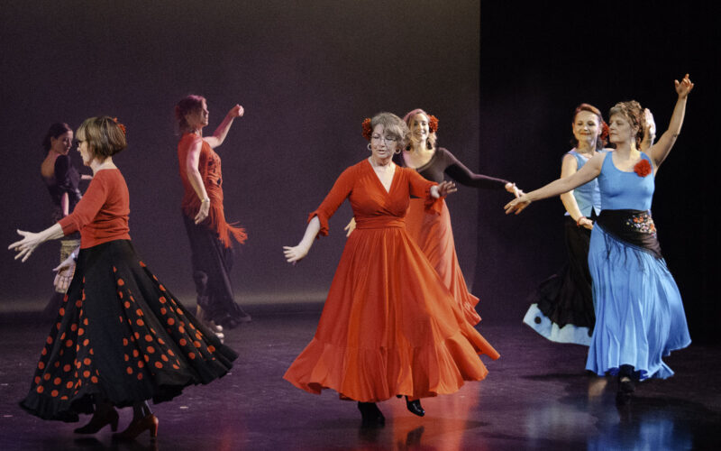 Danse flamenco La KAB MJC La Celle Saint-Cloud