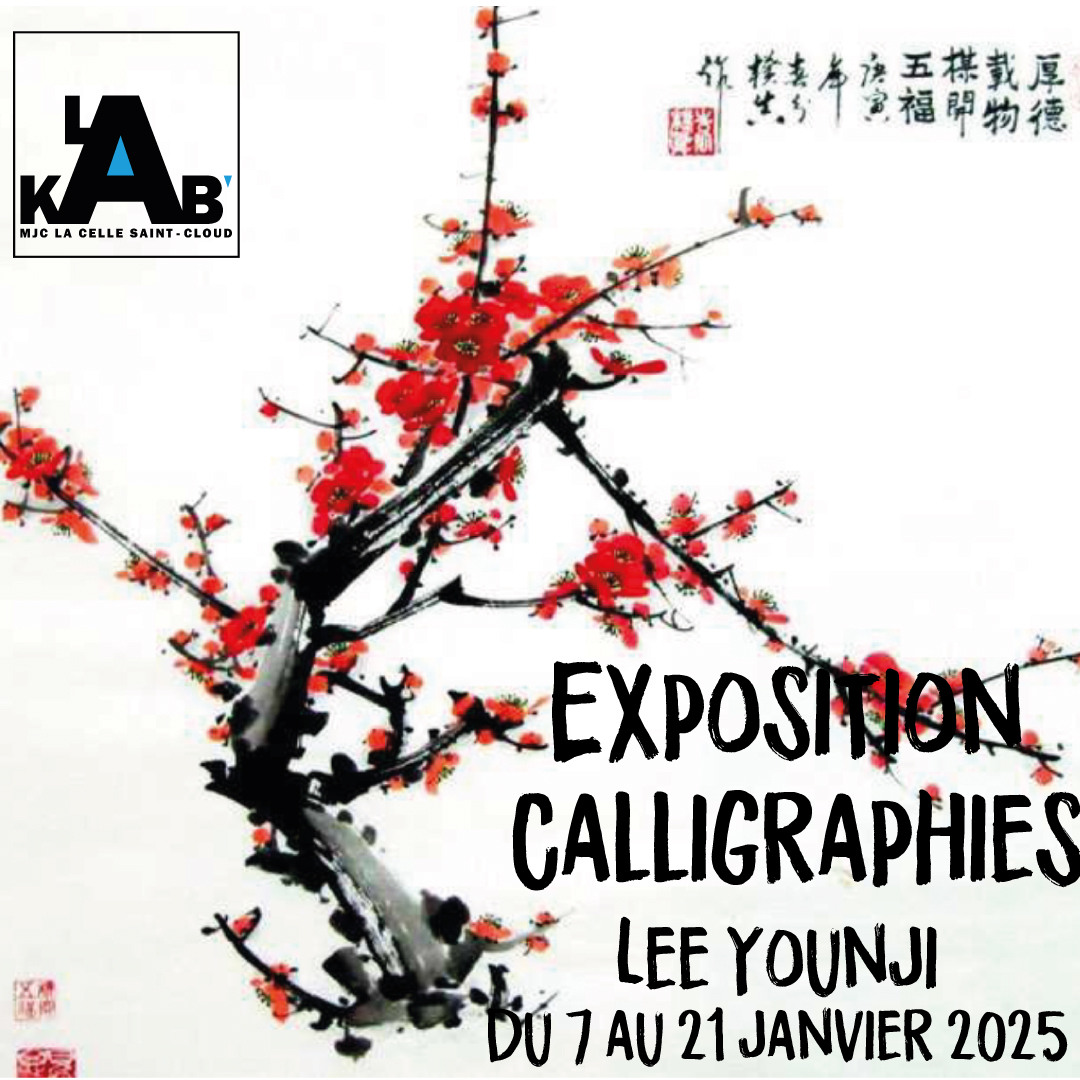 insta-expo-calligraphies