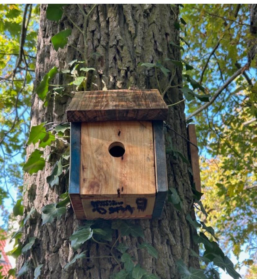 IMG-20251202-WA0003[1]