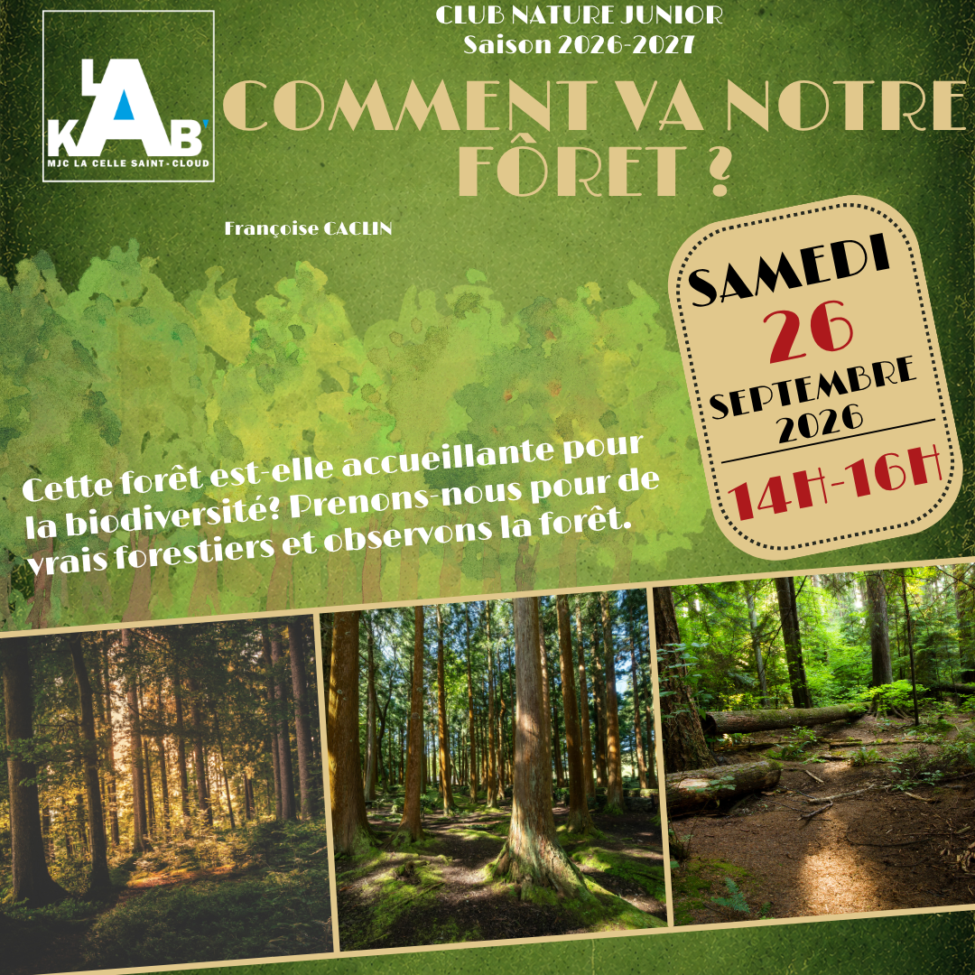 Insta Club nature junior